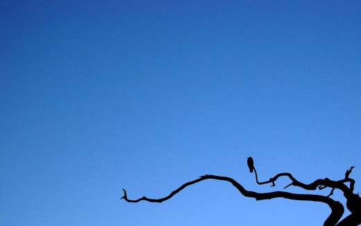 1759245 (a): :1920x1200